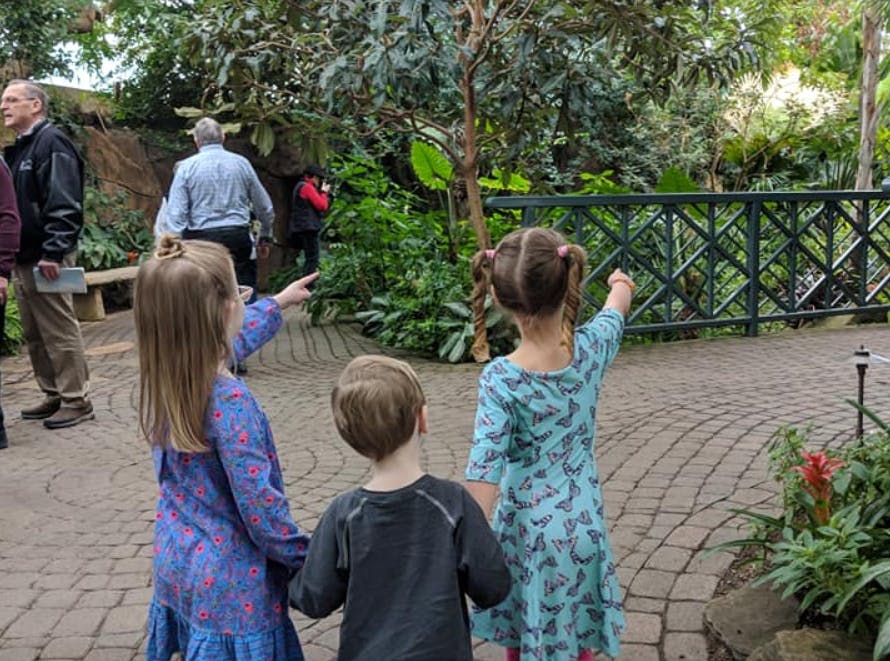 Three children pointing at something in a garden