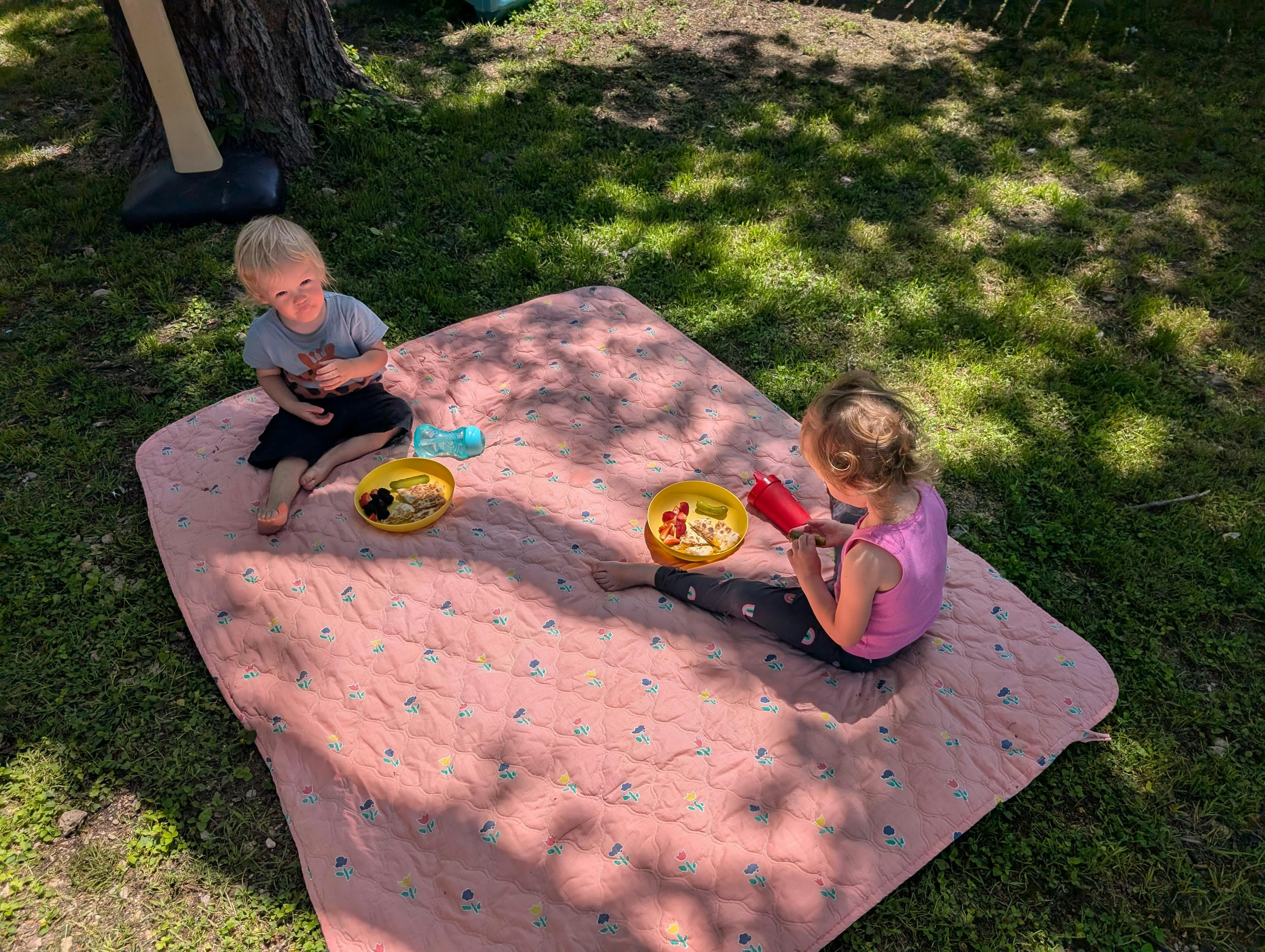 Two children sitting on a blanket outdoors with bowls of food