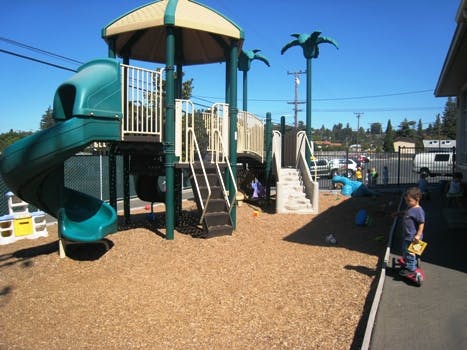 Redwood Forest Preschool - Preschool in Castro Valley, CA - Winnie