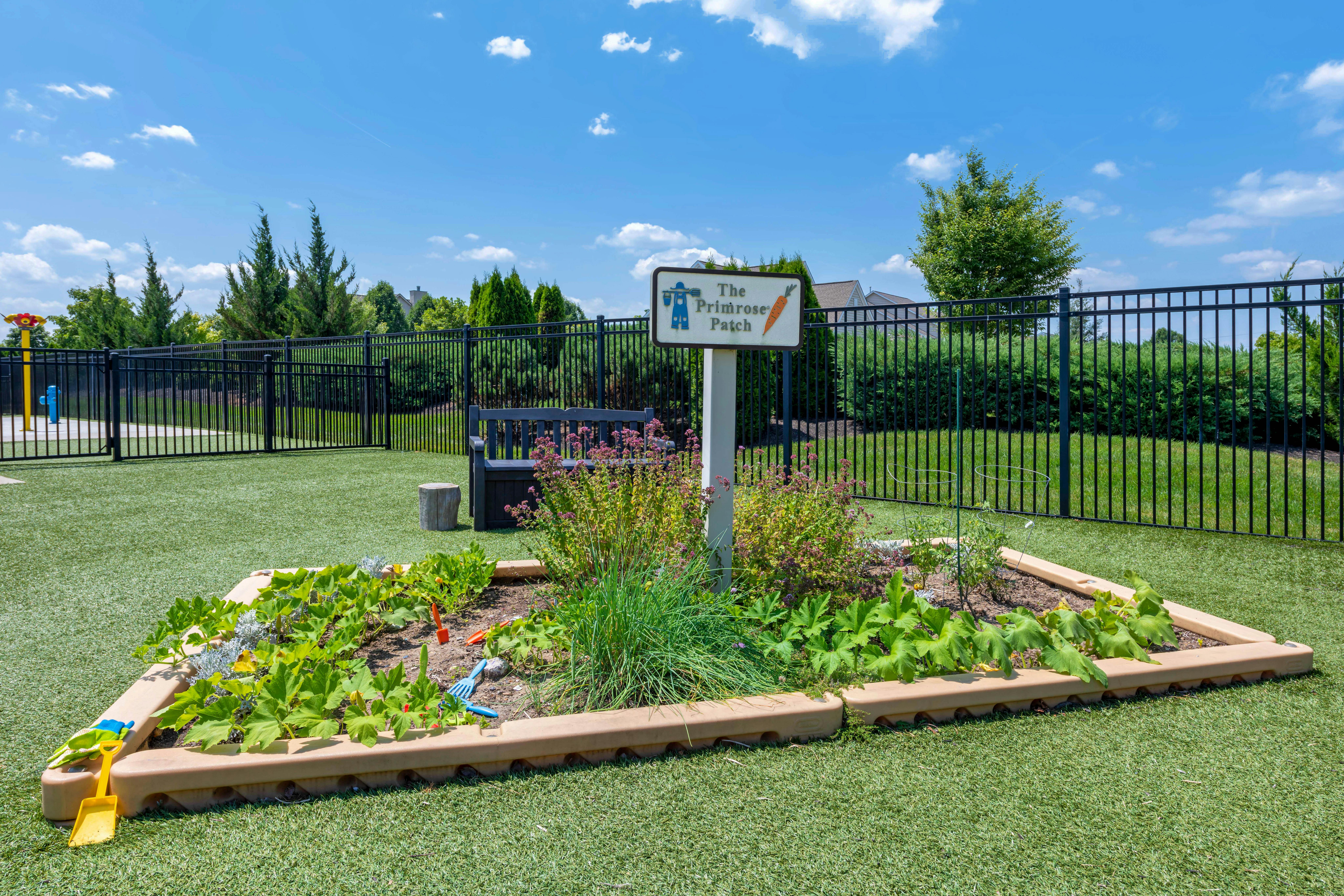 Raised garden bed with green plants, gardening tools, and a sign for The Primrose Patch