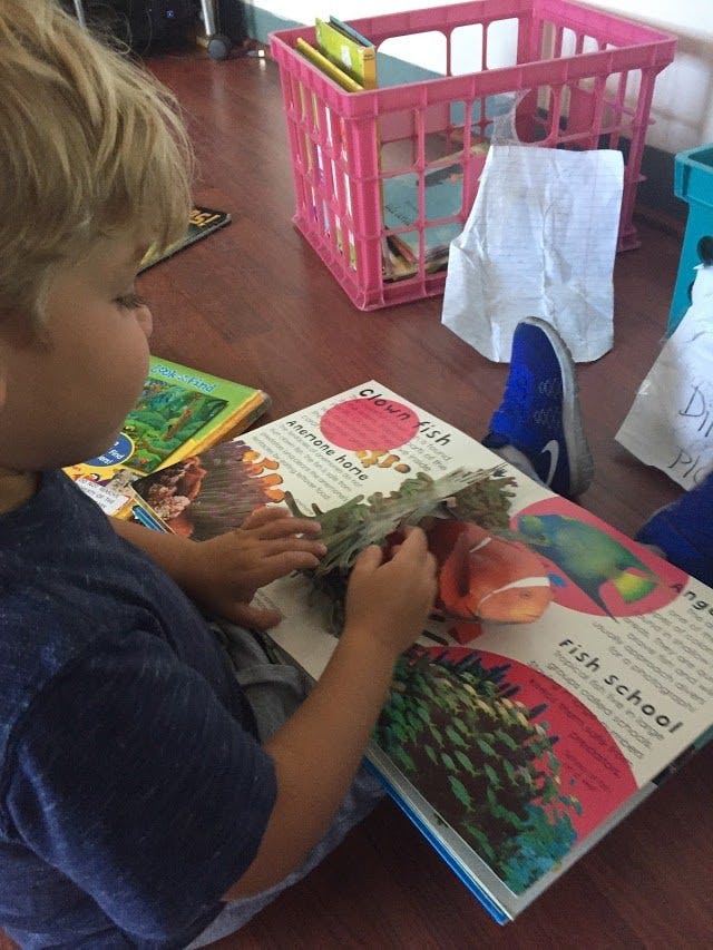 Child looking at a book with fish illustrations