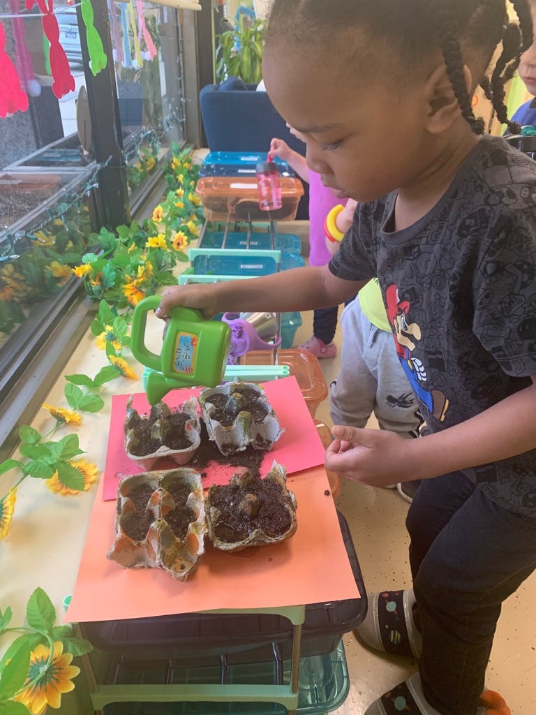 Child watering small plants in a classroom