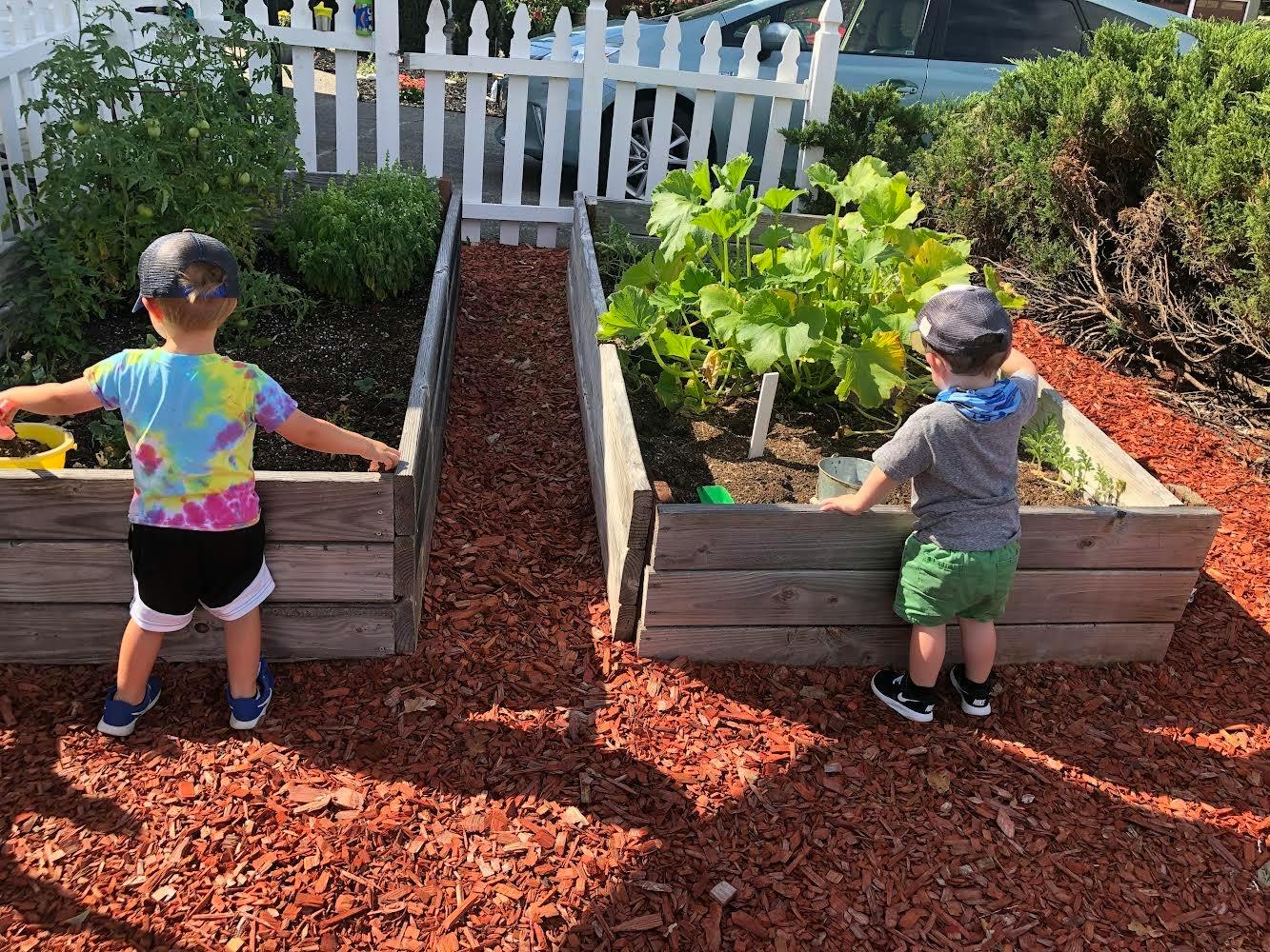Two children standing by raised garden beds