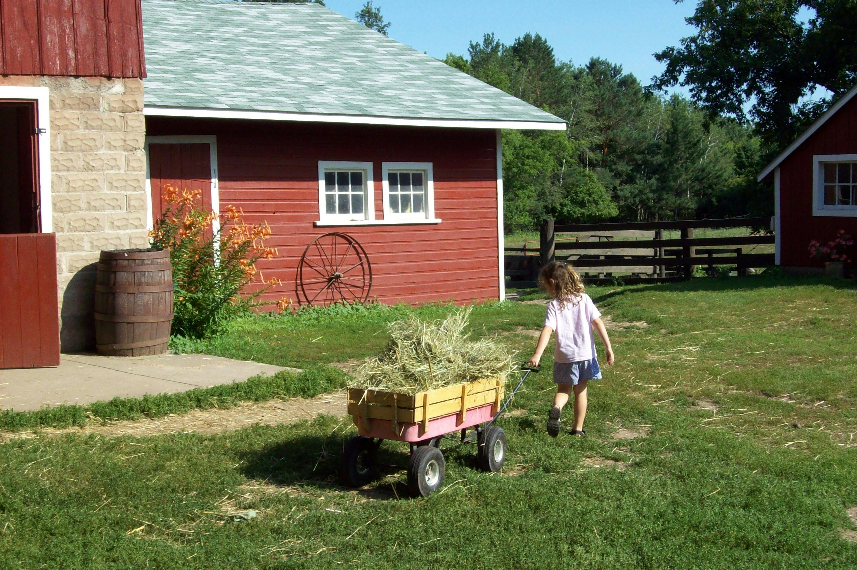 The Children's Farm School Preschool in Stillwater, MN Winnie