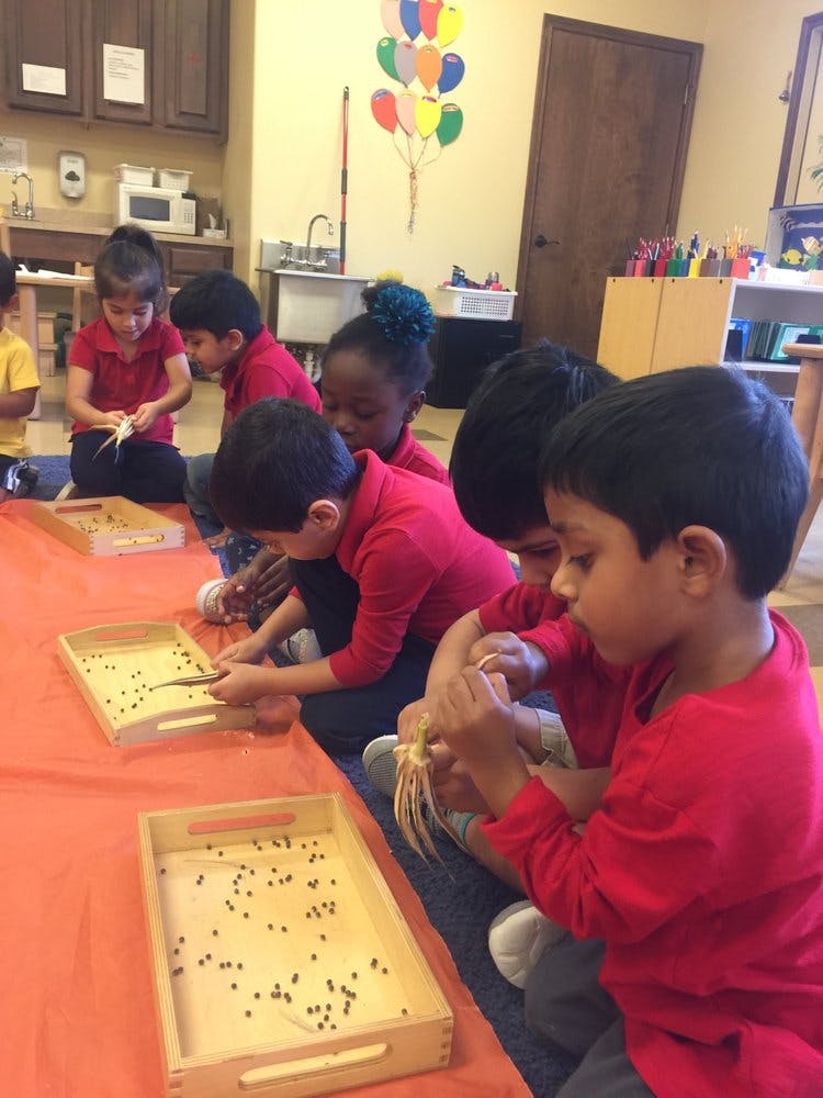 Children in a classroom working with small objects on trays