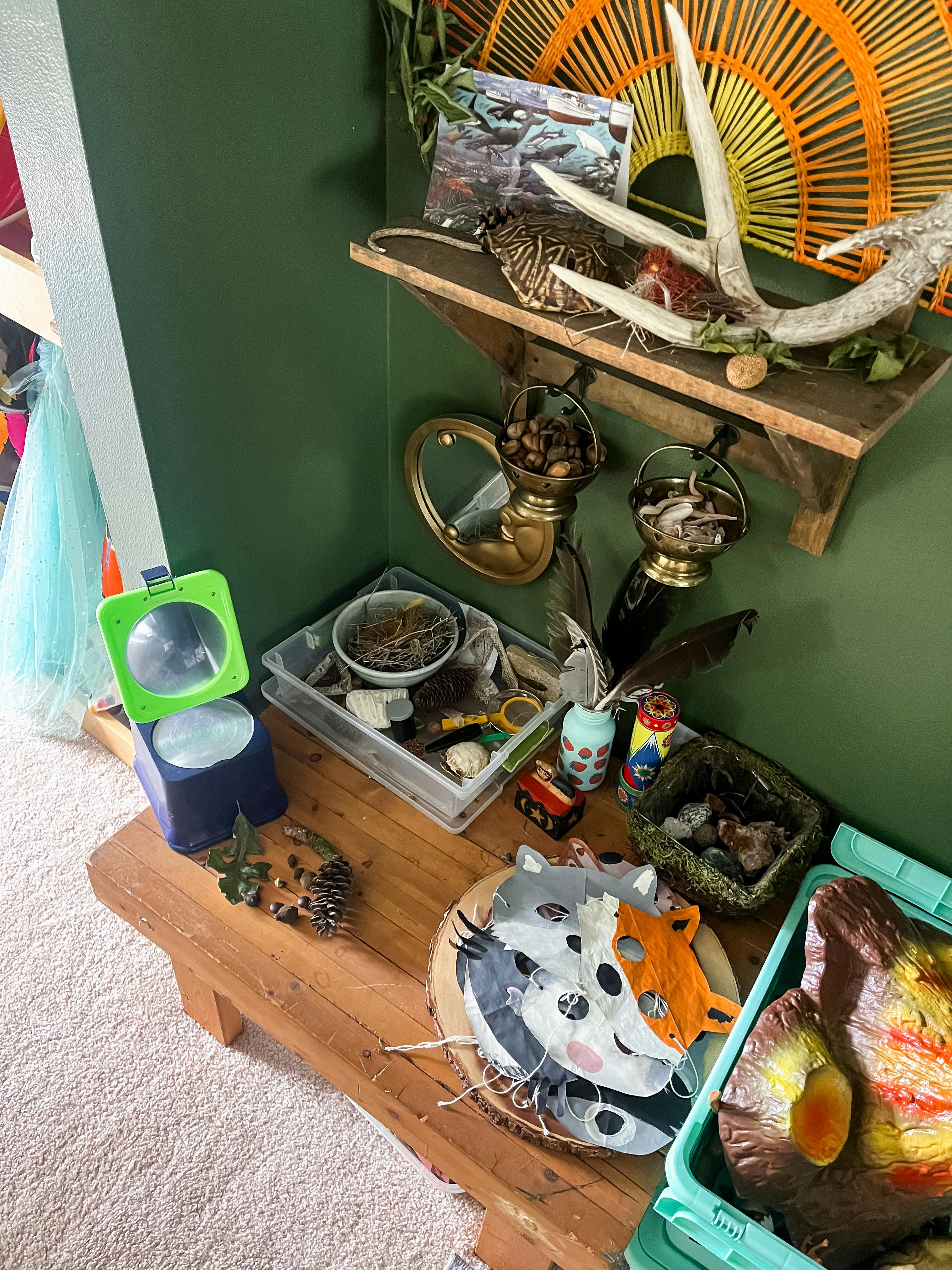 Nature-themed display with antlers, magnifying glass, and animal masks