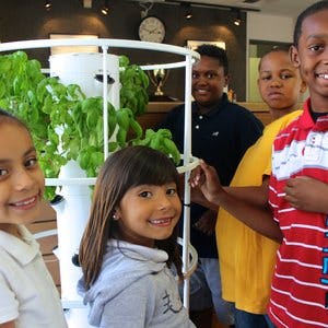 Children standing near a vertical garden