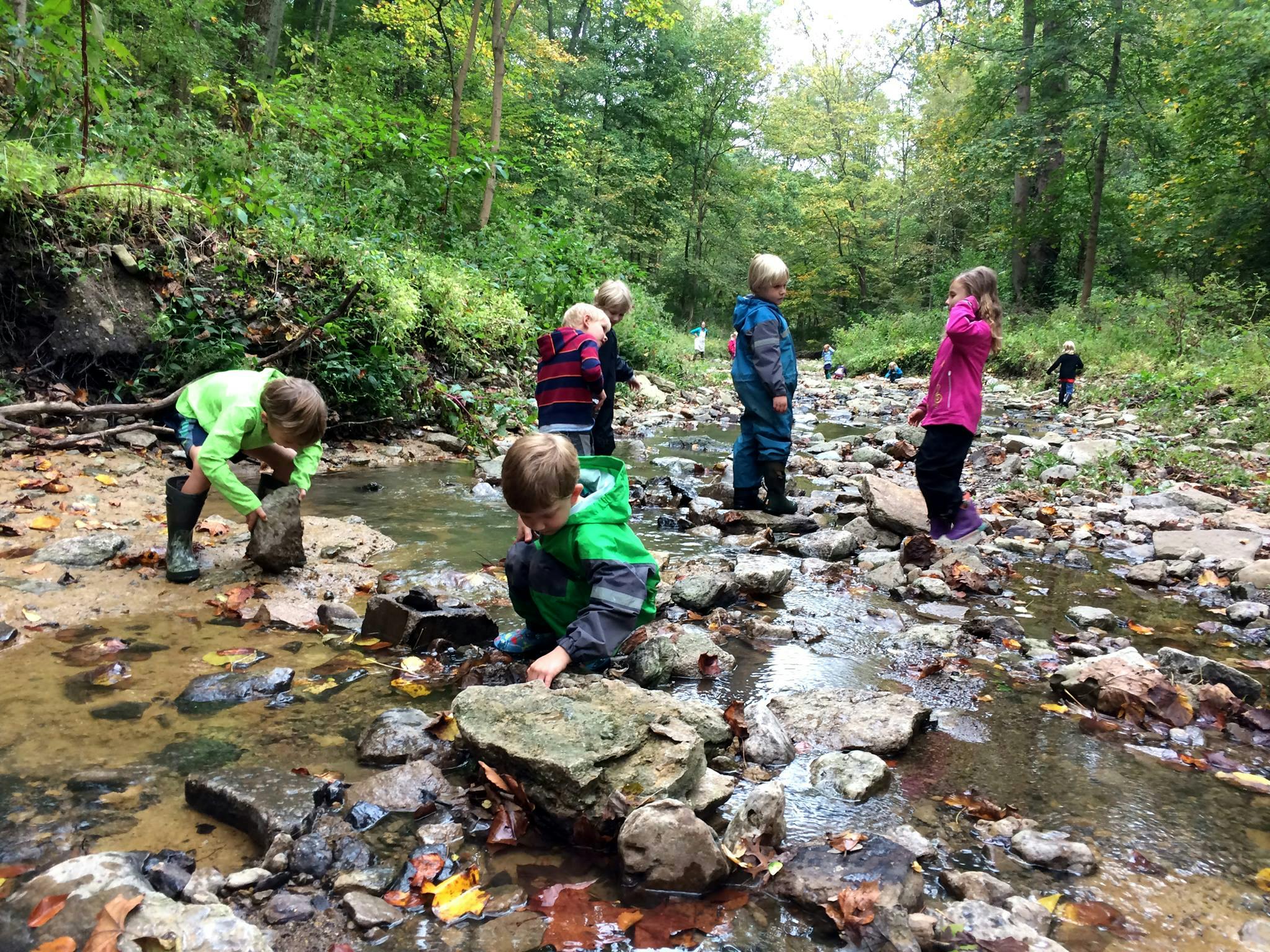 Children playing in a shallow rocky creek in a wooded area