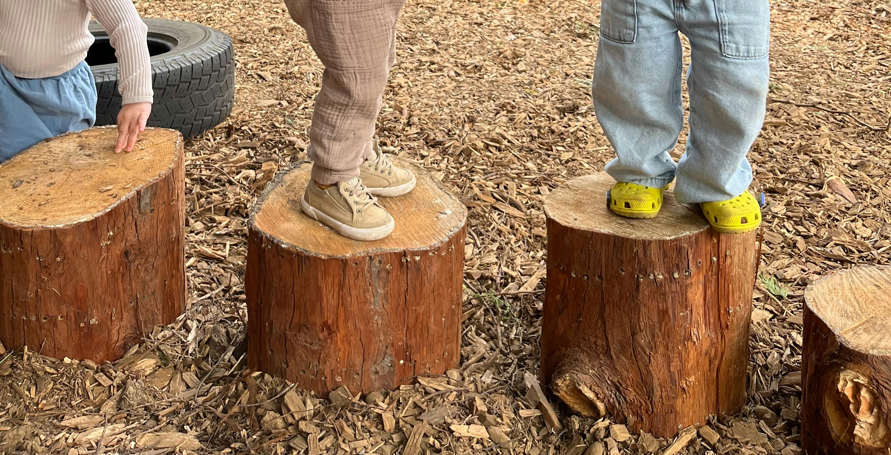 Children standing on tree stumps