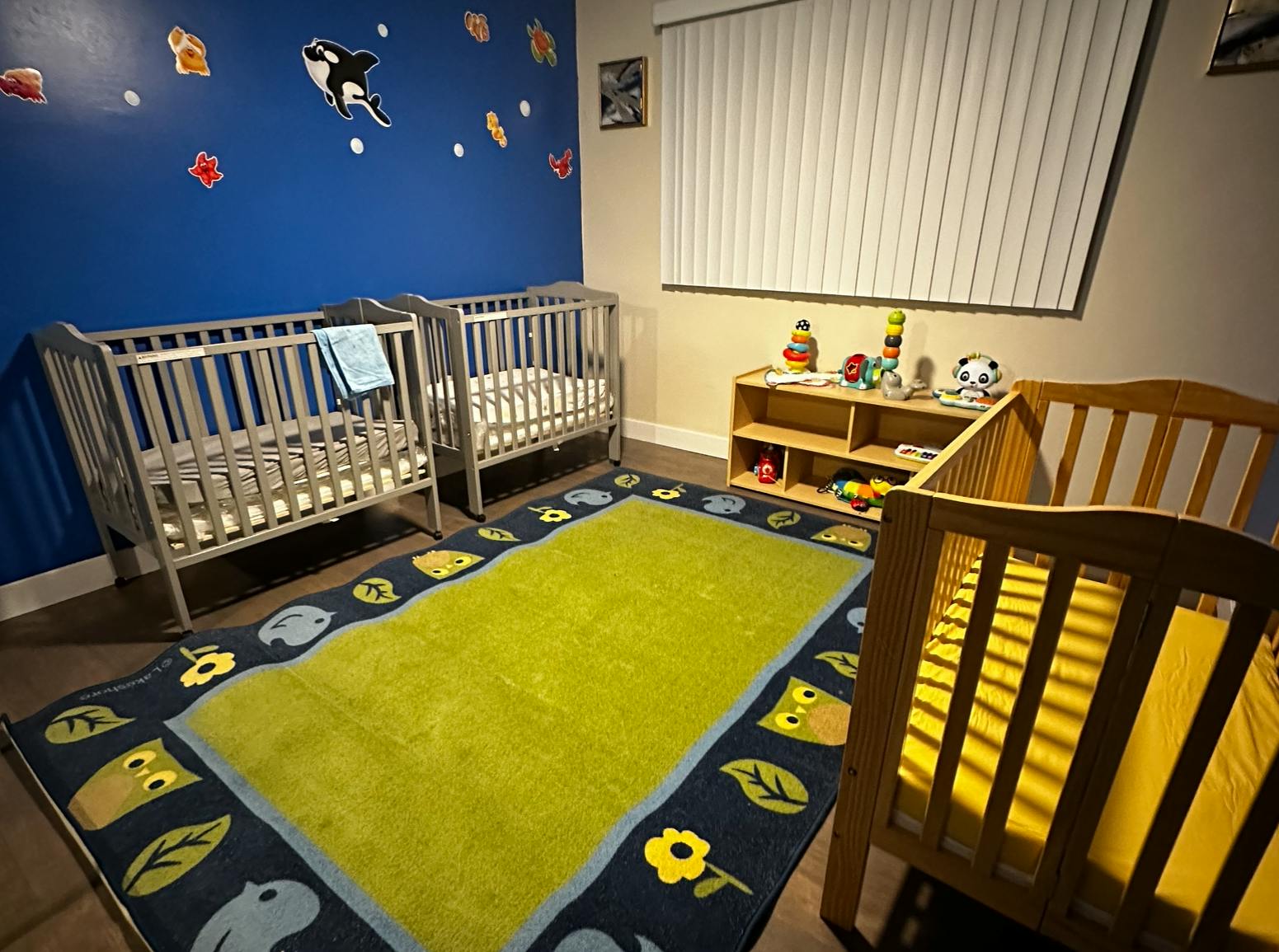 Three cribs in a room with a blue wall and a green and blue rug