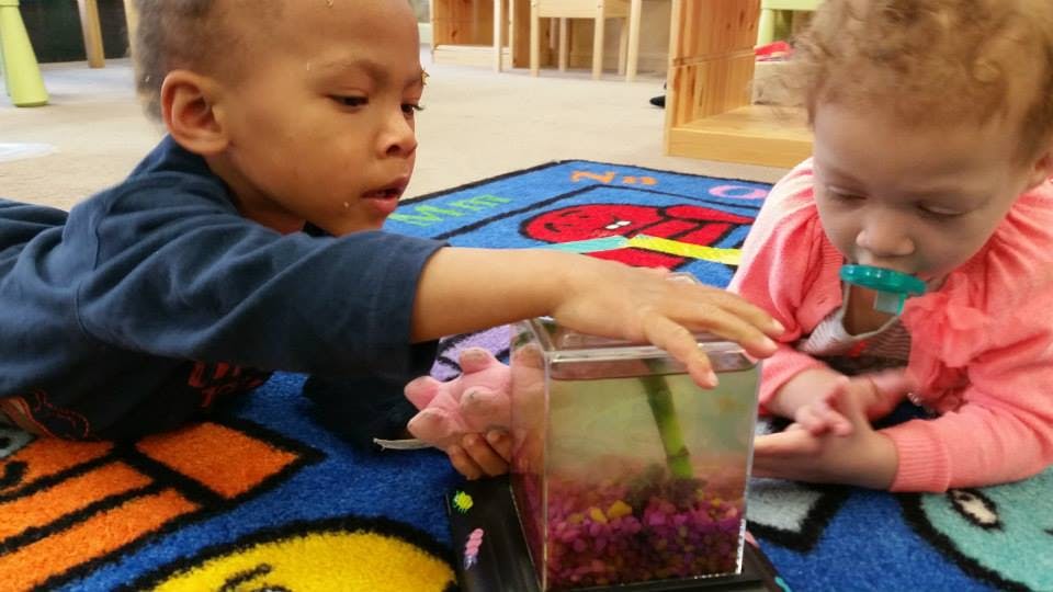 Two children on a rug looking at a small aquarium