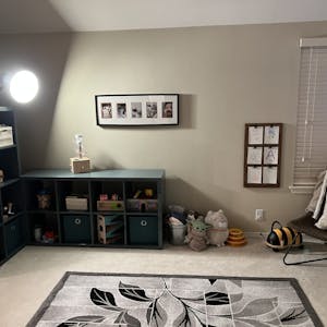 Room with a rug, storage shelves, and framed photos on the wall