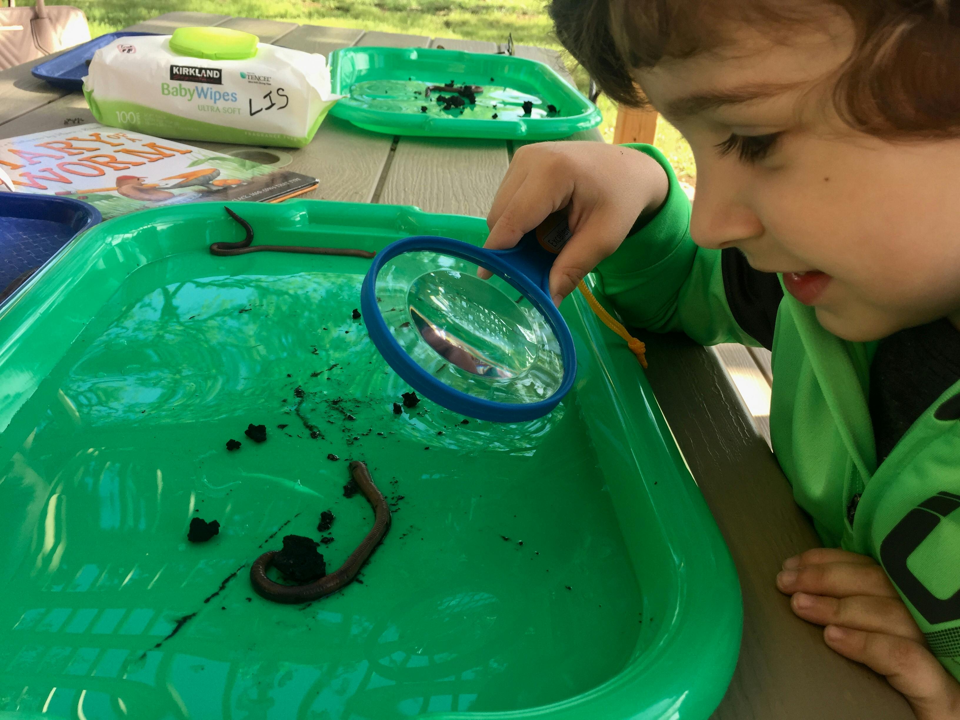 Child looking at worms in a green tray with a magnifying glass