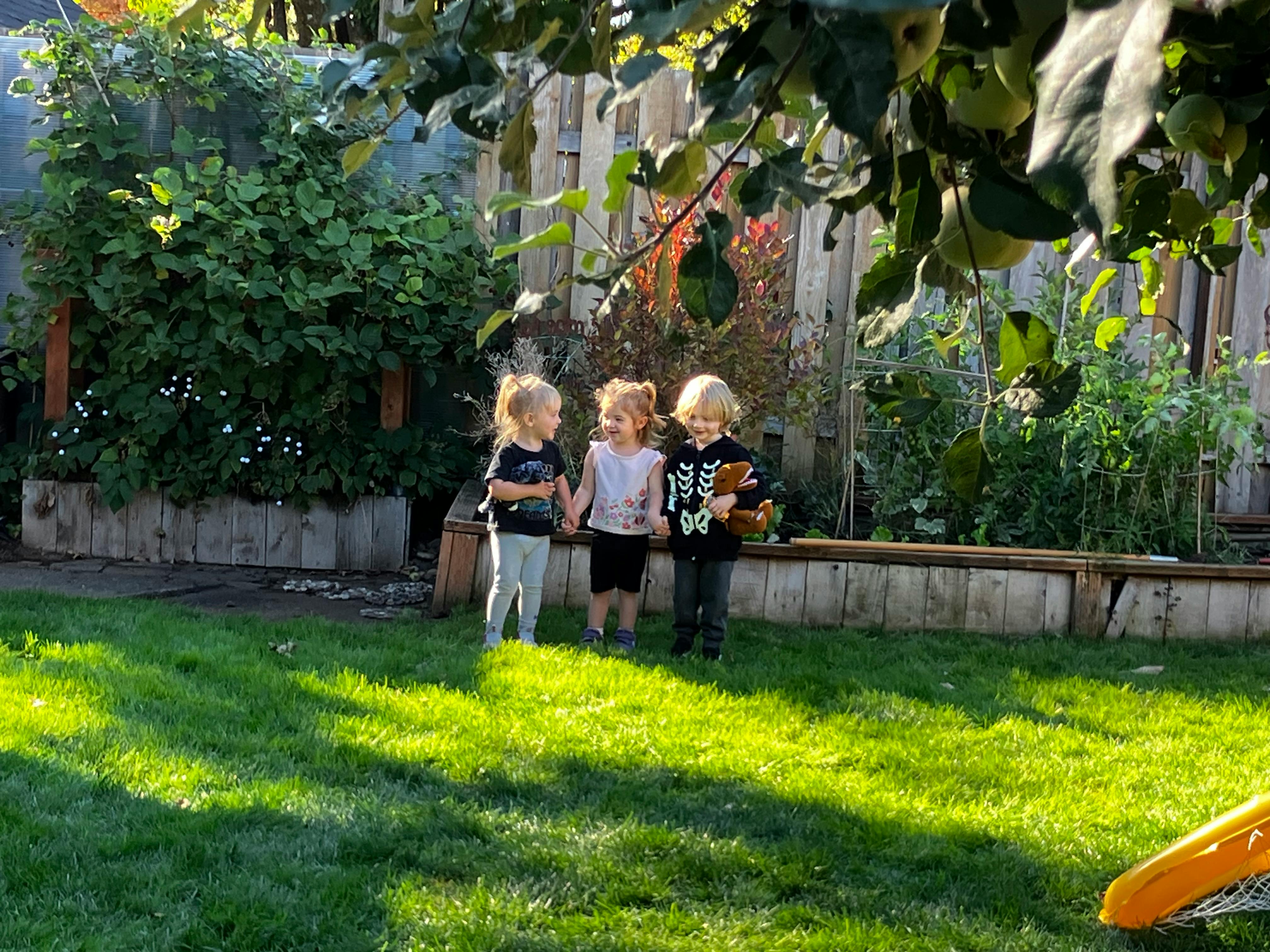 Three children holding hands in a backyard