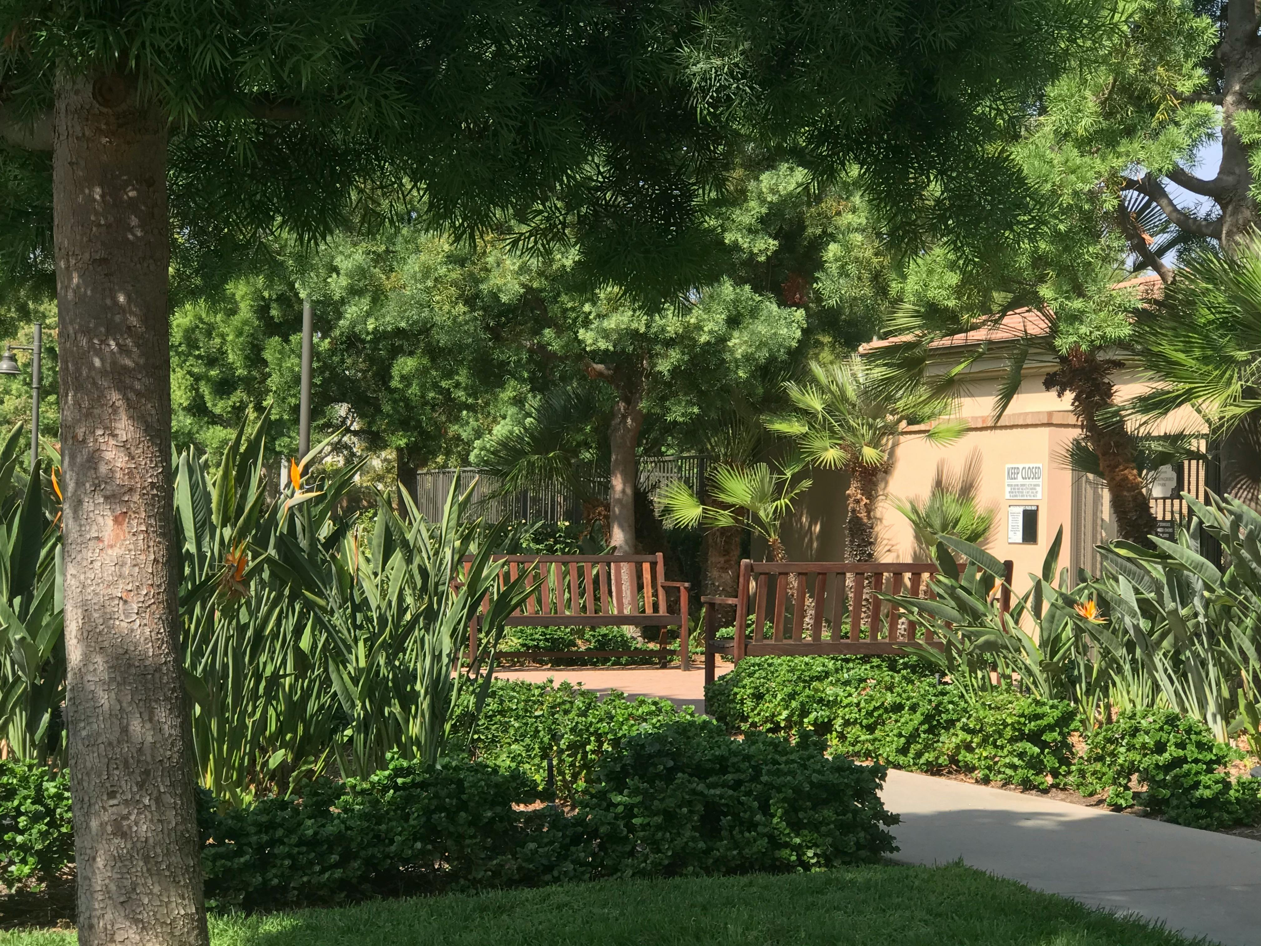Park with trees, bushes, and a wooden bench