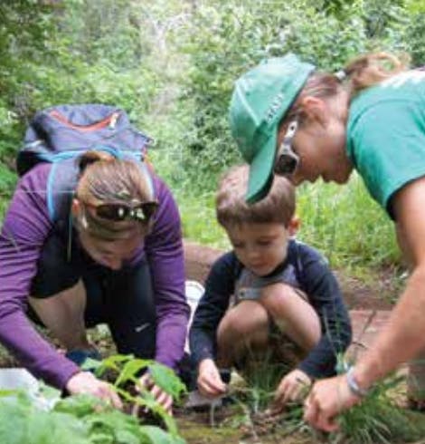 Two people and a child crouching and looking at plants