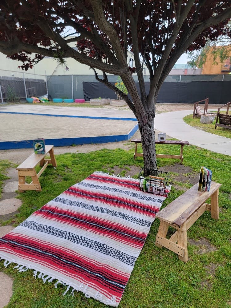 Striped blanket on grass under a tree next to benches