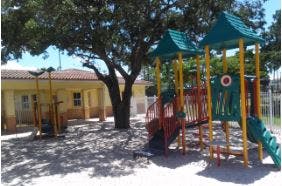 Playground with slides and swings under a large tree