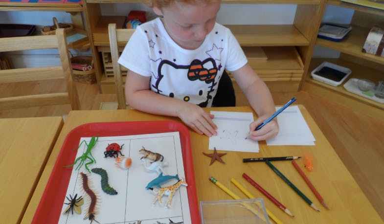 Child drawing at a table with animal figures