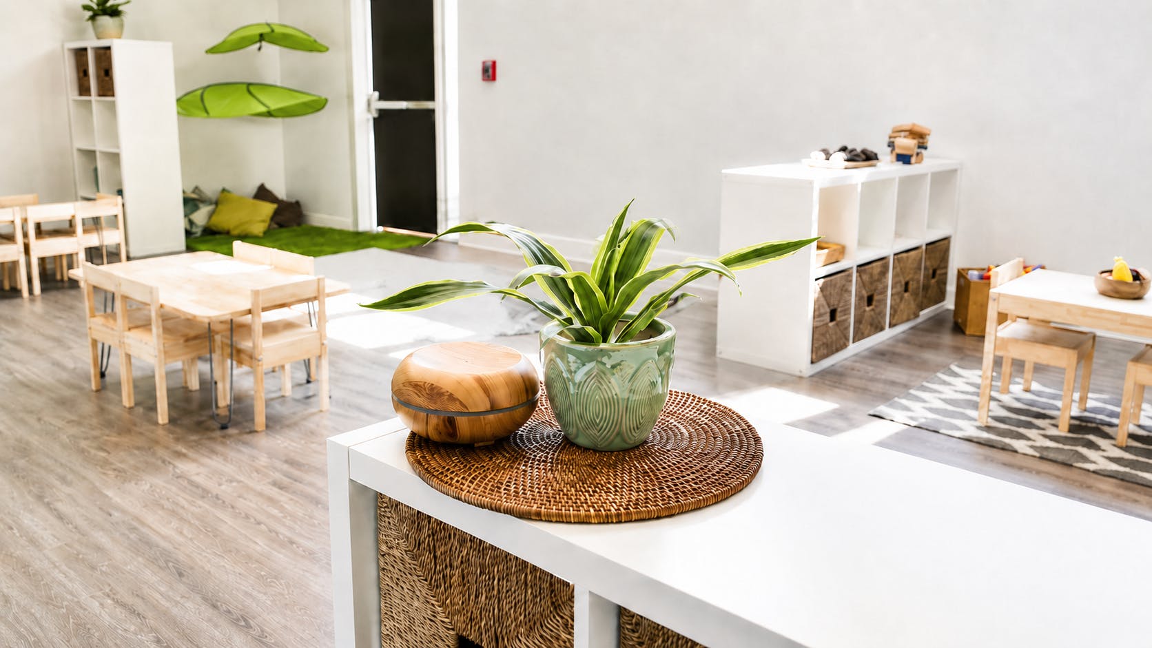 Potted plant and small diffuser on a white table in a classroom
