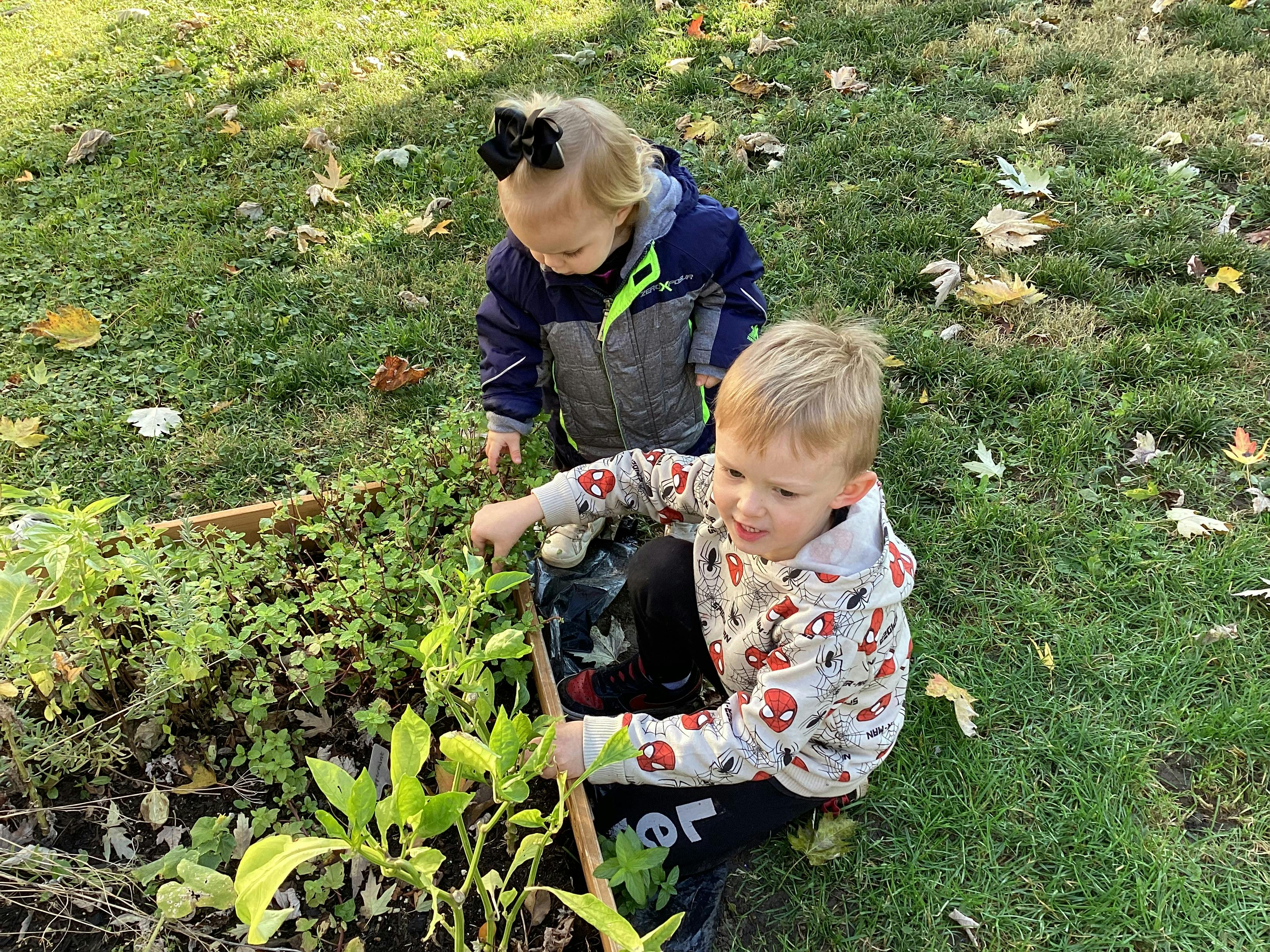 Two children tending to plants in a garden bed