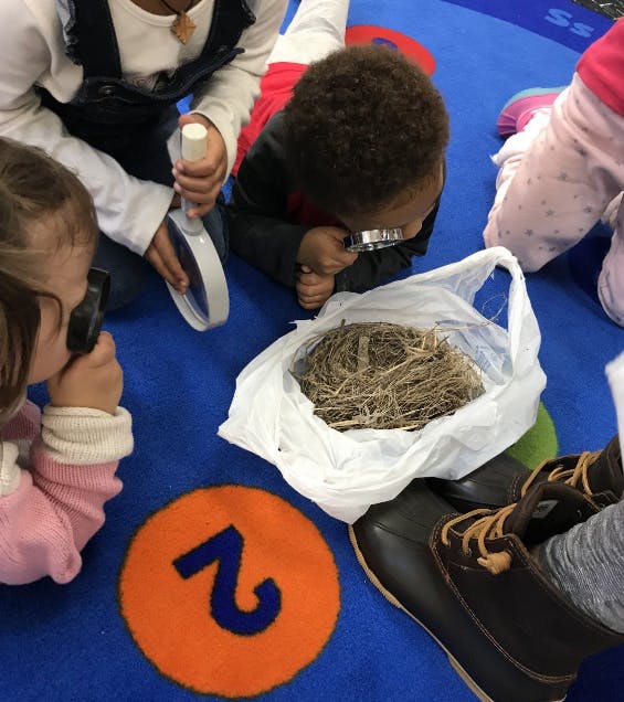 Children looking at a bird's nest with magnifying glasses