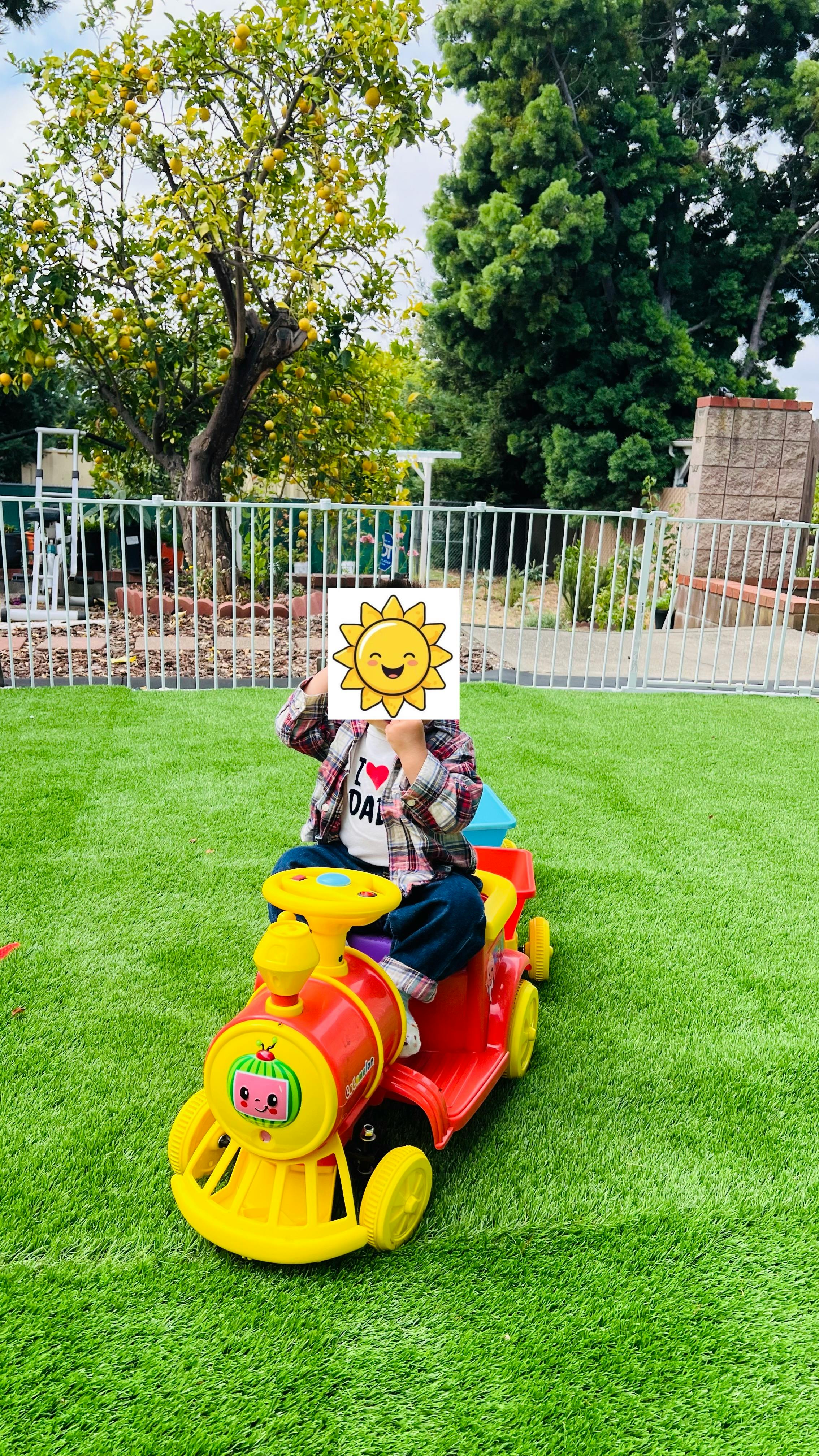 Child sitting on a toy train on a grass lawn