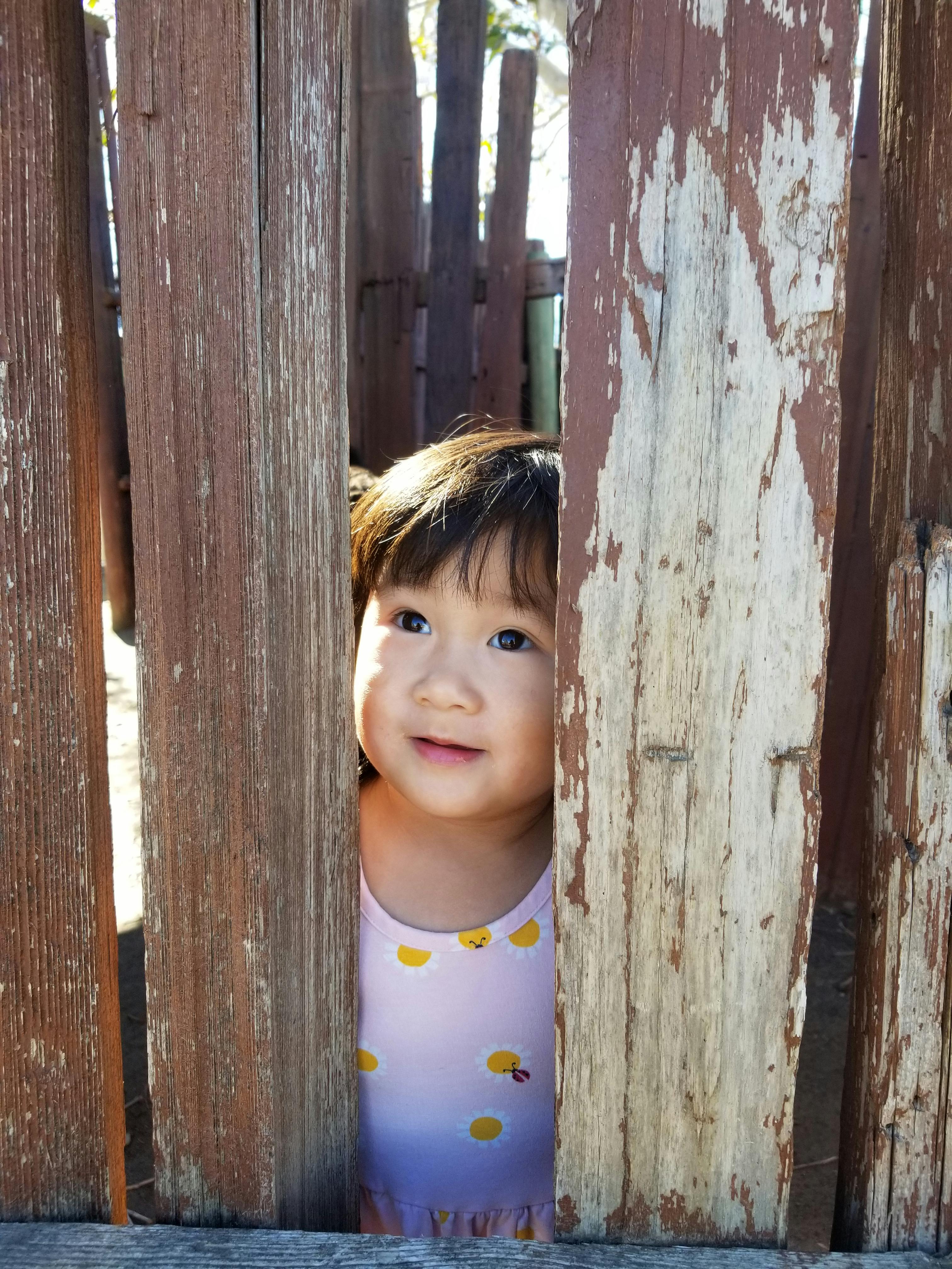 Child peeking through wooden fence slats