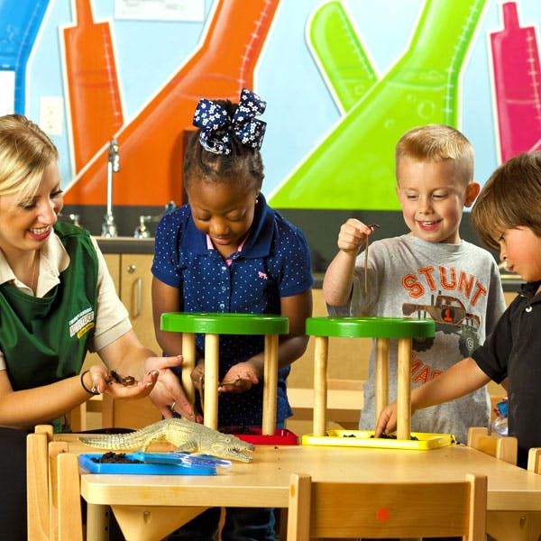 Adult and three children interacting with small animals on a table