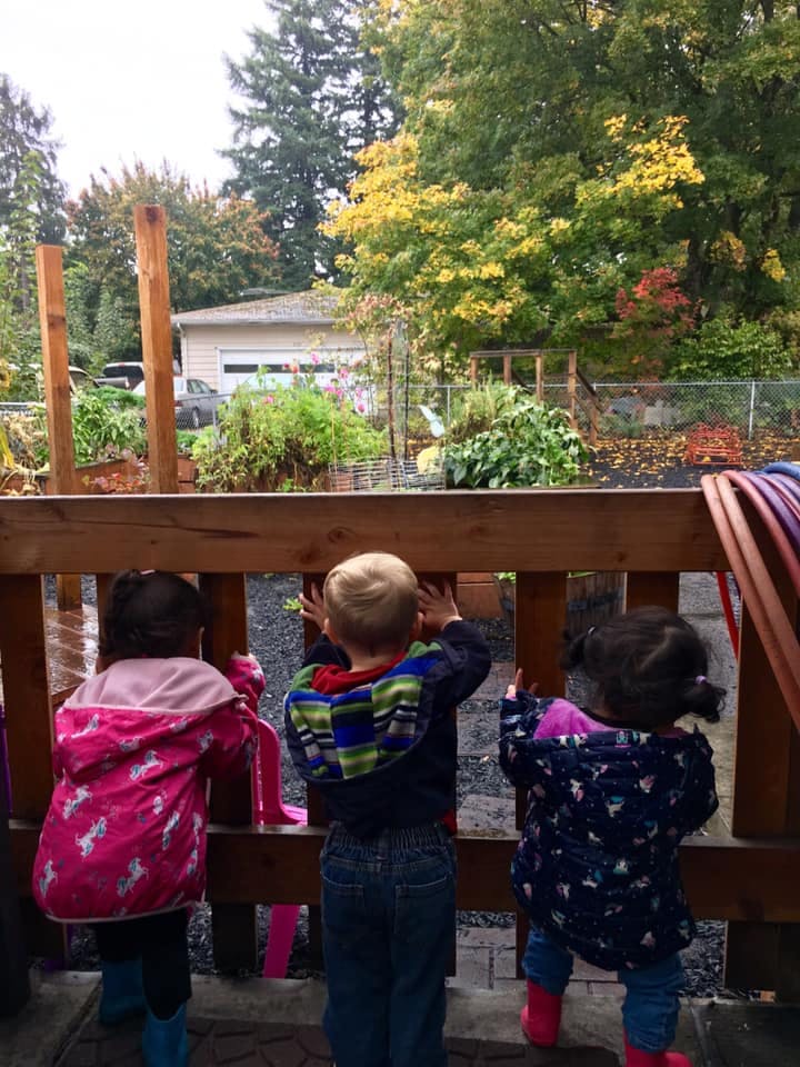 Three children looking over a wooden fence at a garden