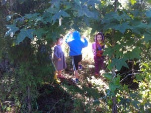 Three children standing in a wooded area