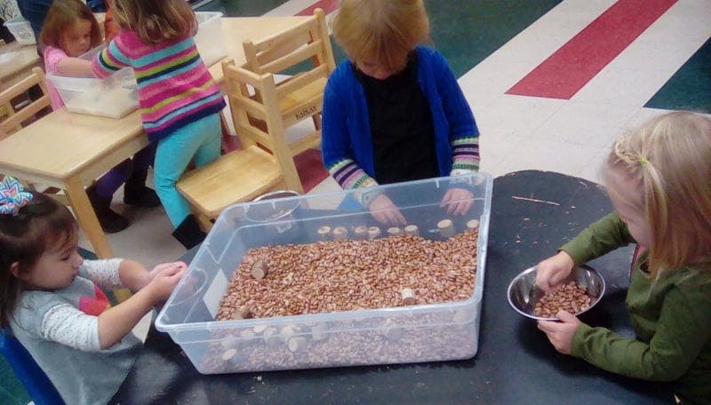 Children playing with sensory bin filled with small objects