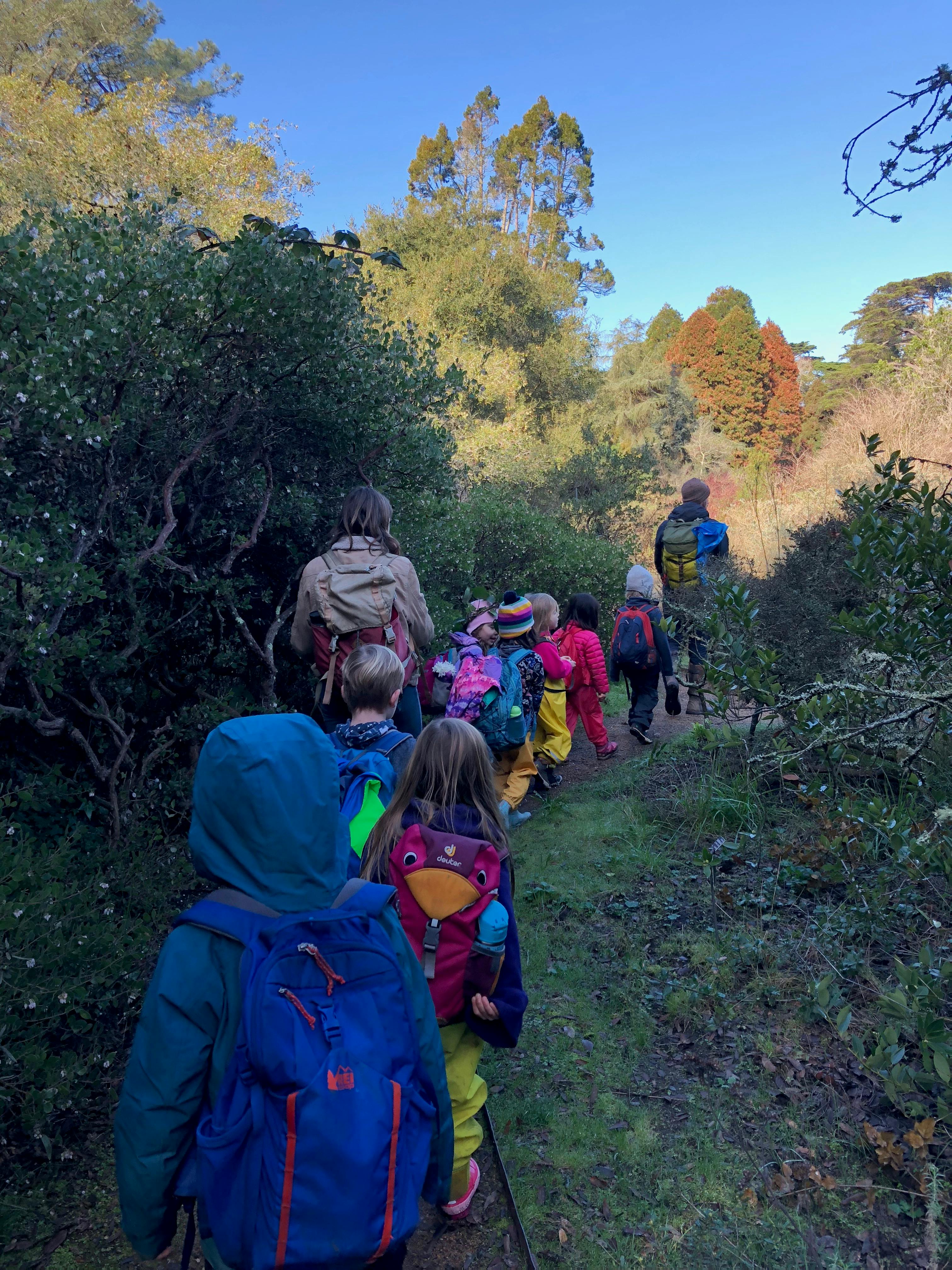 People and children hiking on a narrow trail through dense foliage