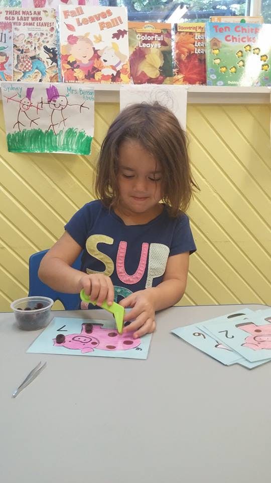 Child using tweezers to place small objects on a pig drawing in a classroom