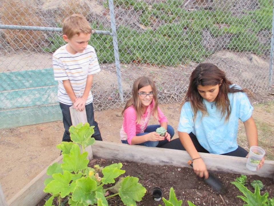 Three children working in a garden bed