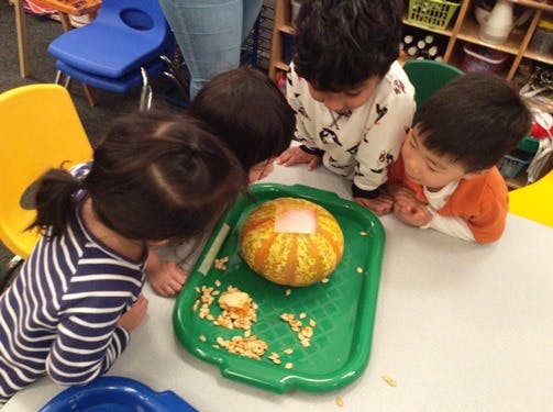 Children looking at a watermelon on a green tray