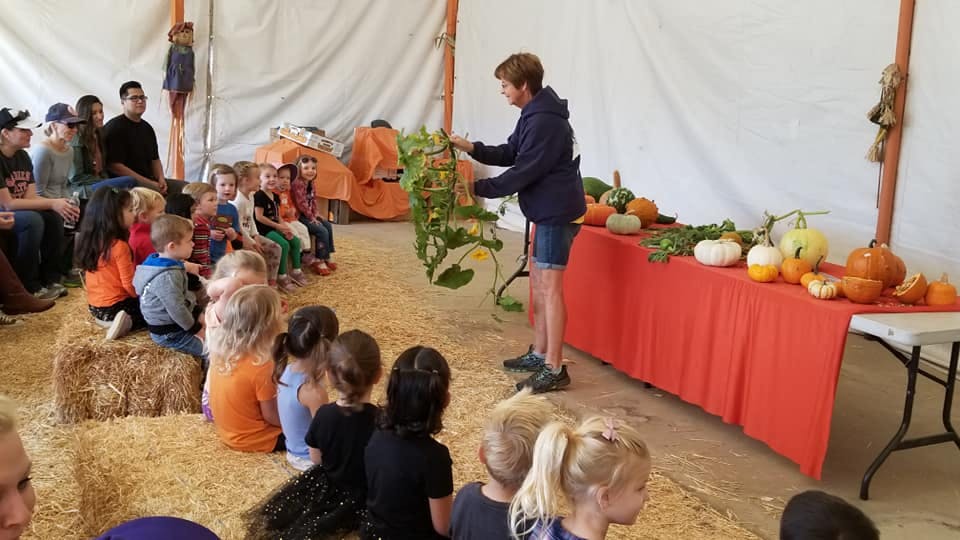 Person showing a plant to children and adults sitting on hay bales
