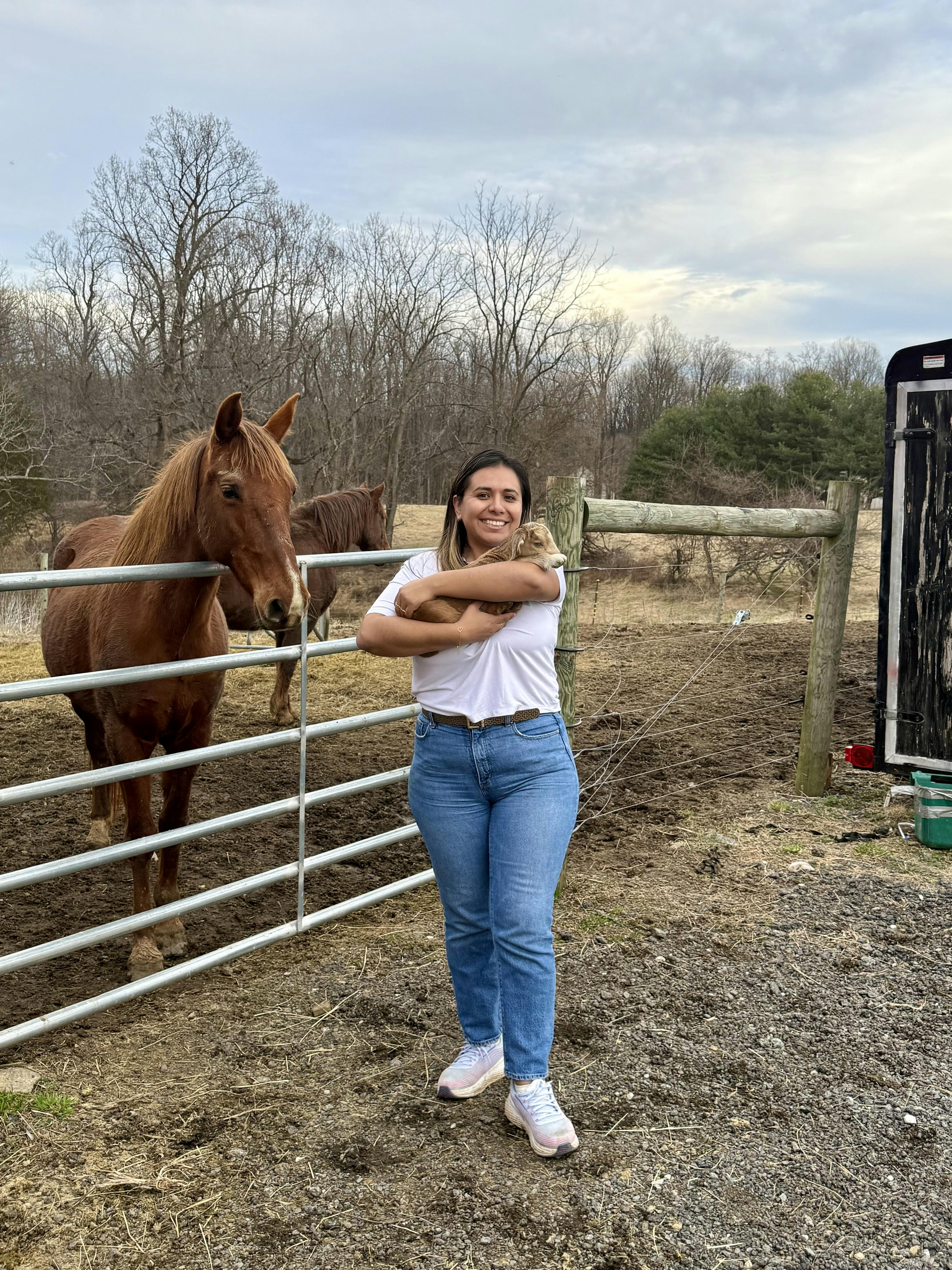 Person holding a small goat, with horses in a fenced enclosure behind