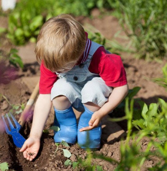 Child in overalls and boots planting in a garden