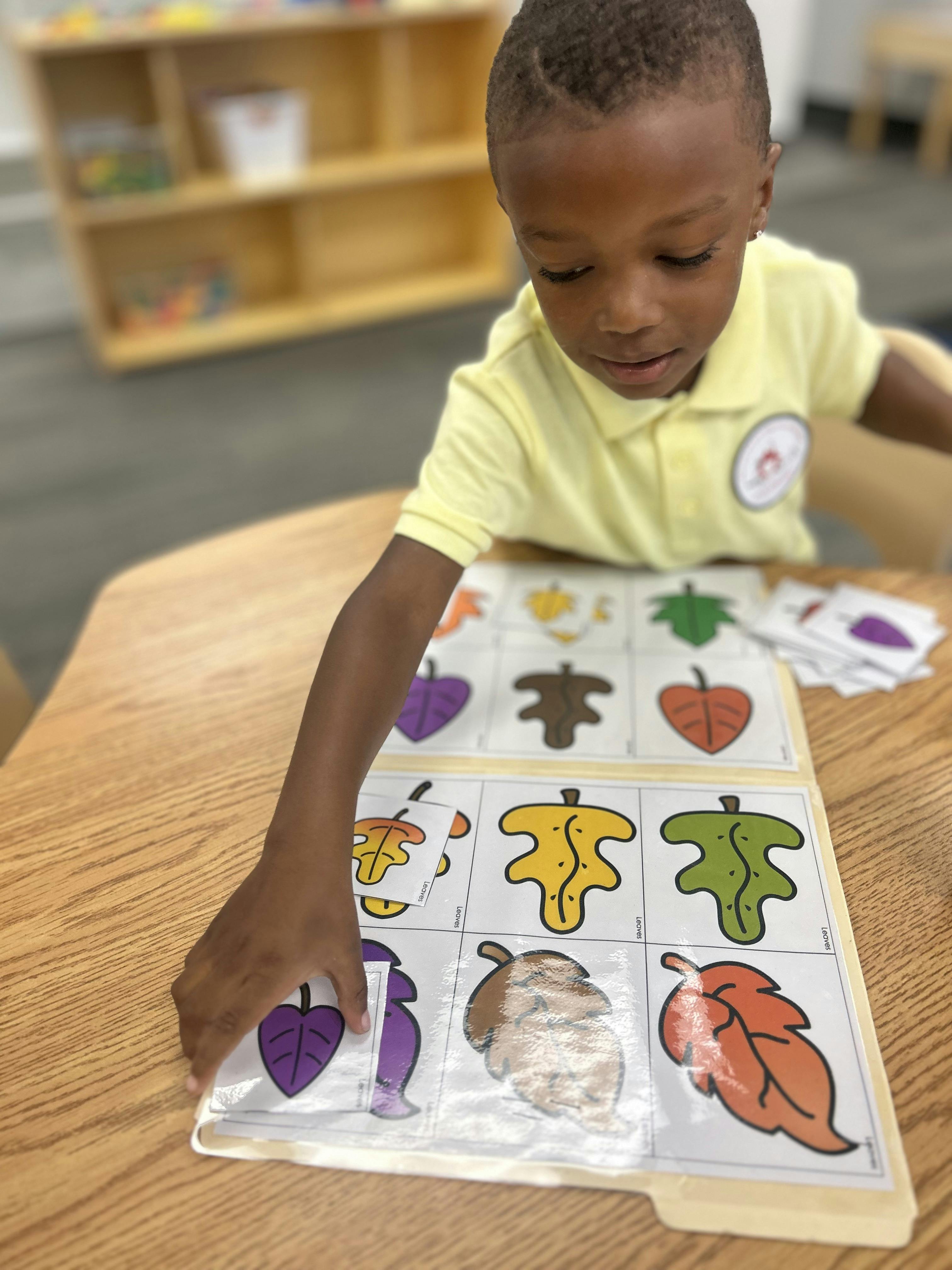 Child playing with a leaf matching game