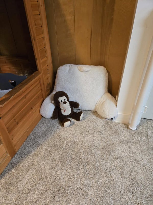 Stuffed monkey toy and white pillow on a carpeted floor