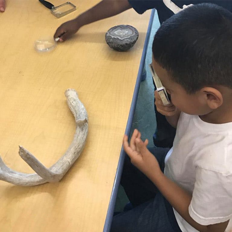 Child looking through a magnifying glass at an antler on a table