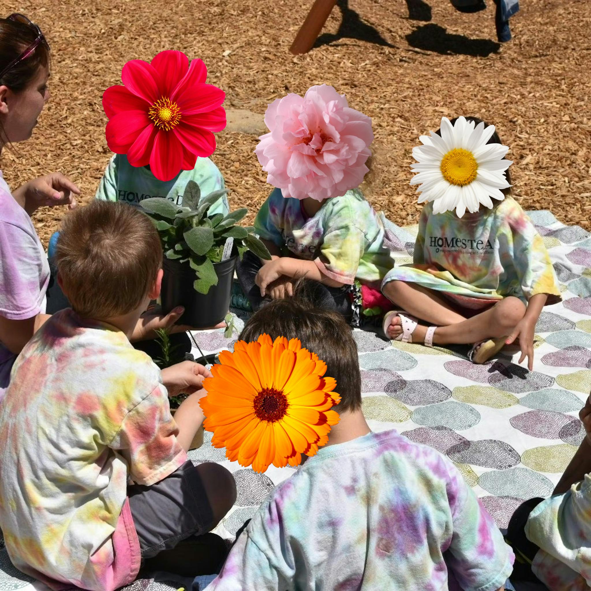 Adult and children gathered around a potted plant on a blanket outdoors on a blanket