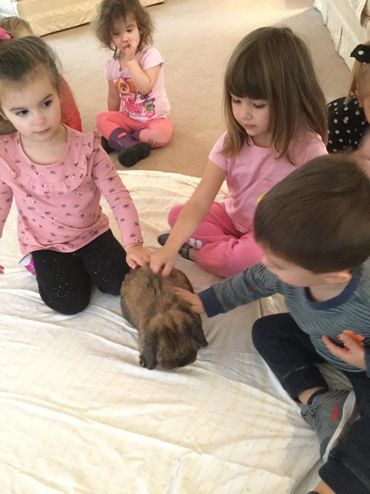 Children petting a rabbit