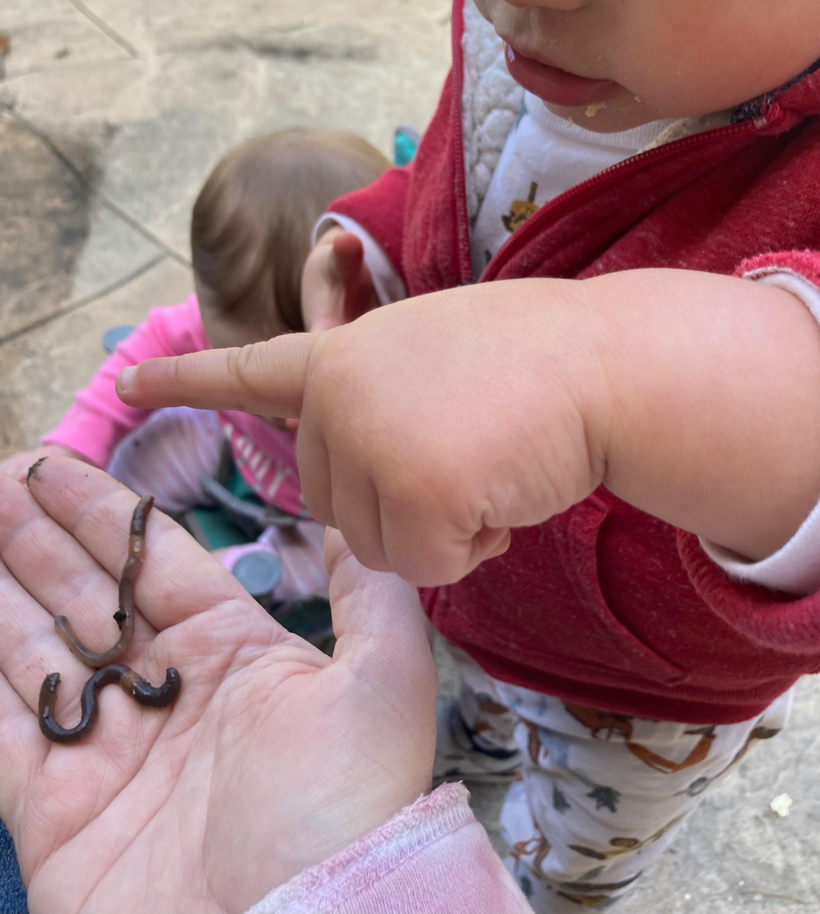 Child pointing at a worm in an adult's hand