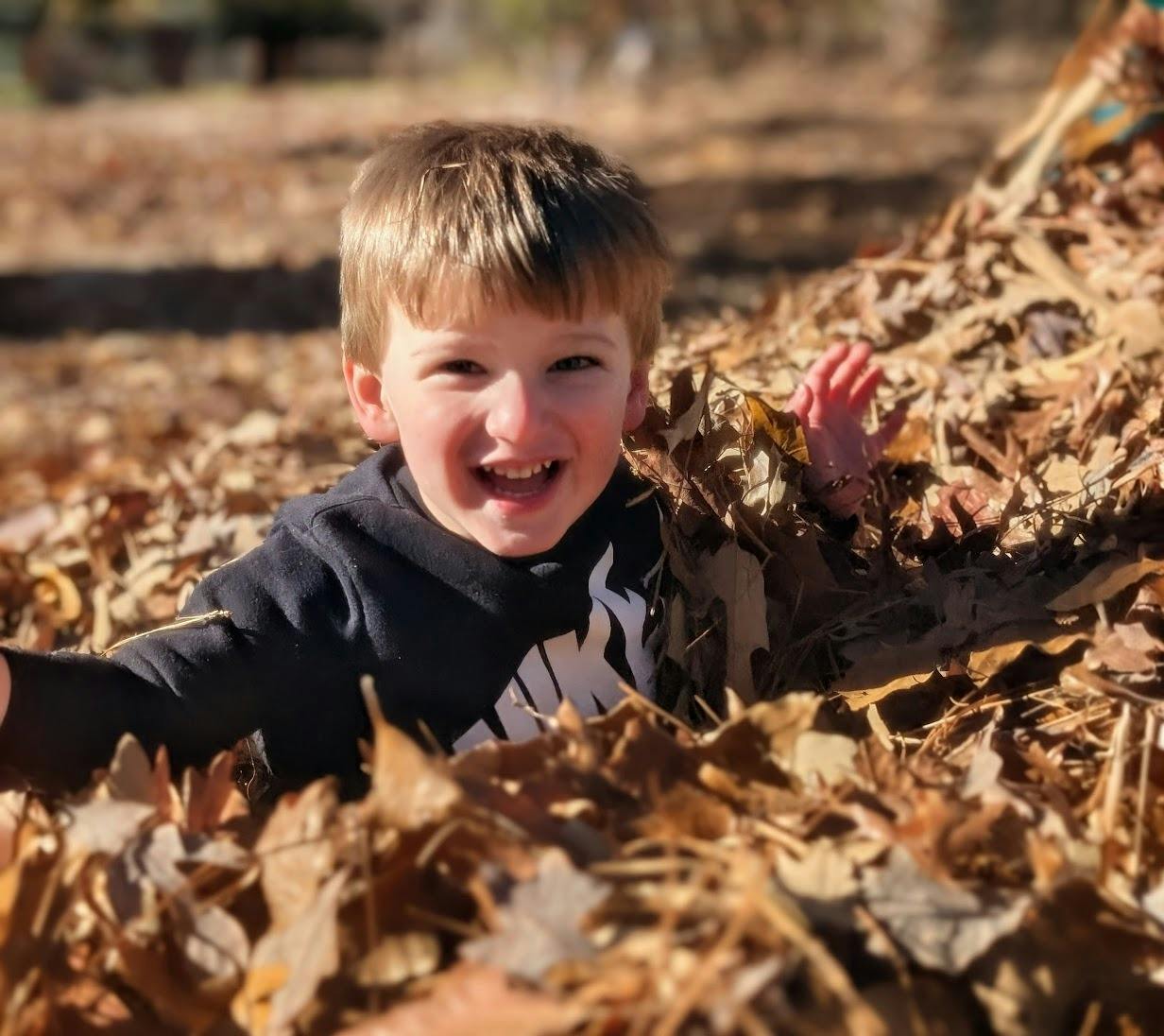 Child playing in a large pile of dry leaves