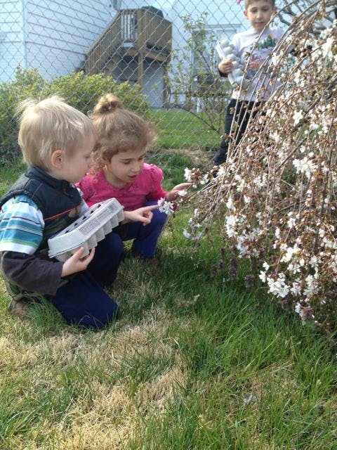 Two children examining a flowering bush, another child in background