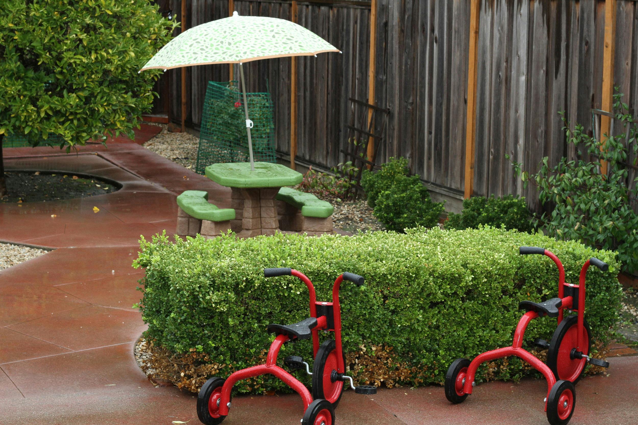 Two red tricycles in front of a hedge with a picnic table and umbrella