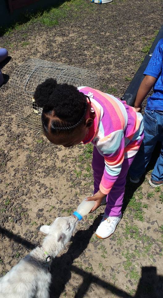 Child feeding a goat with a bottle