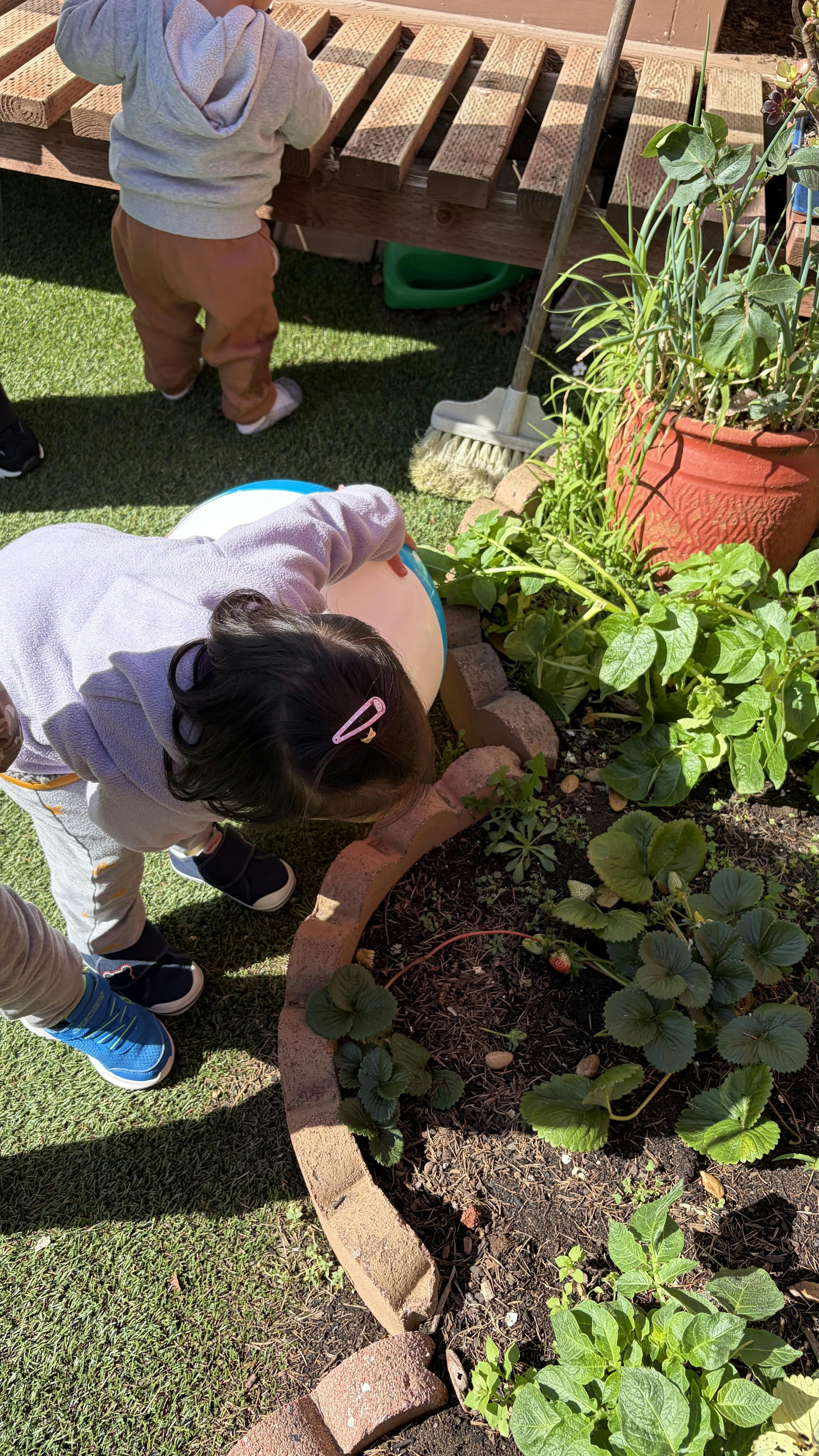 Child bending over to look at plants in a garden bed with another child in the background